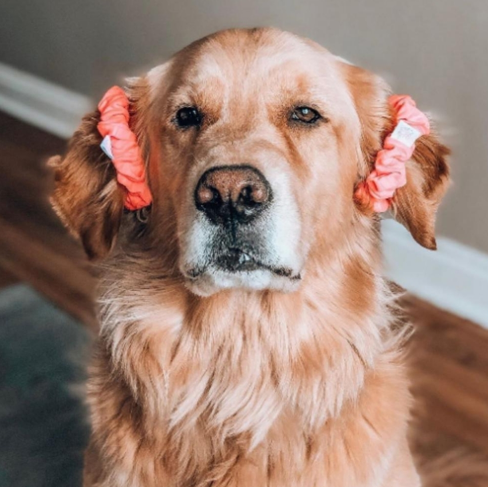 Dew GA Scrunchie
